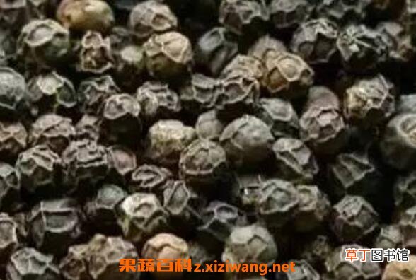 黑胡椒精油的功效与作用 黑胡椒精油的用途