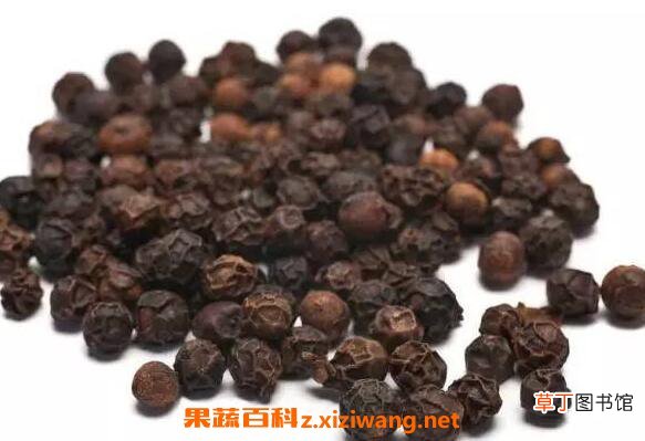 黑胡椒精油的功效与作用 黑胡椒精油的用途