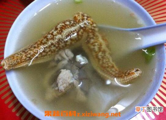 海星煲汤的做法与功效 喝海星煲汤的好处
