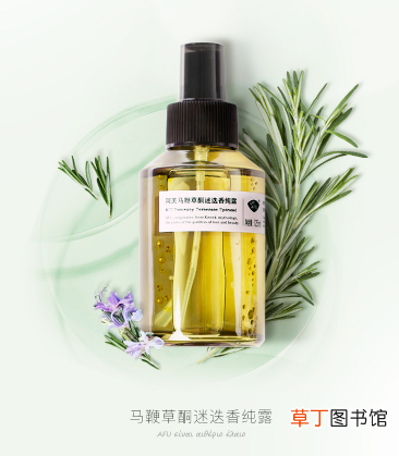 毛孔粗大用哪种纯露