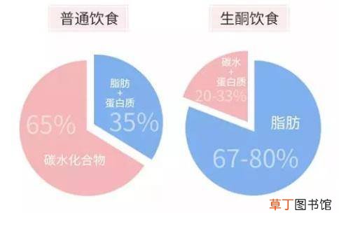 生酮减肥法是什么-生酮减肥法是什么原理