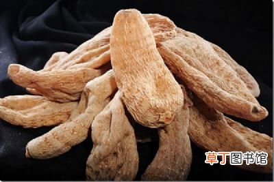 天麻功效与作用-天麻功效与作用是什么
