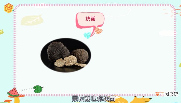 黑松露是什么