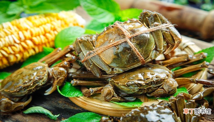 蒸螃蟹冷水蒸多长时间