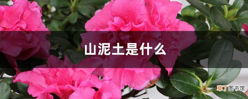 山泥土是什么