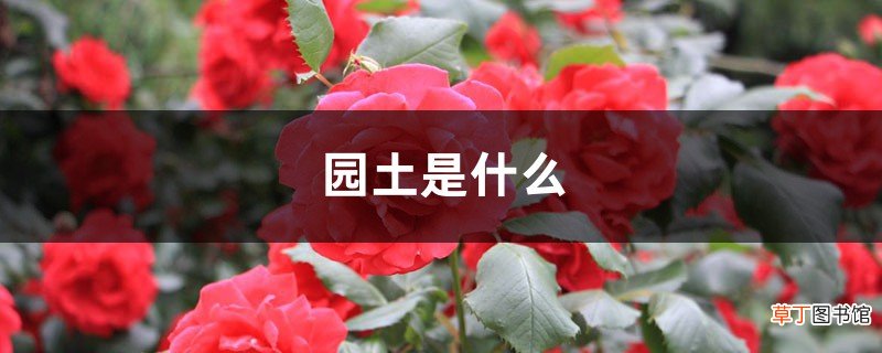 园土是什么