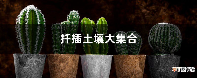 扦插土壤大集合