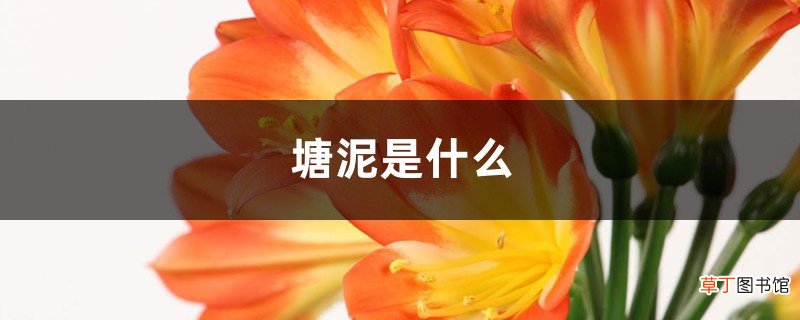 塘泥是什么