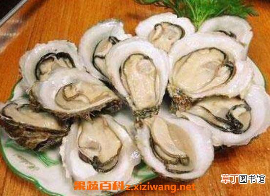 女人吃生蚝的好处和坏处