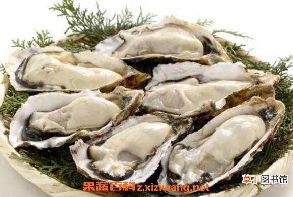 生蚝和牡蛎有什么区别