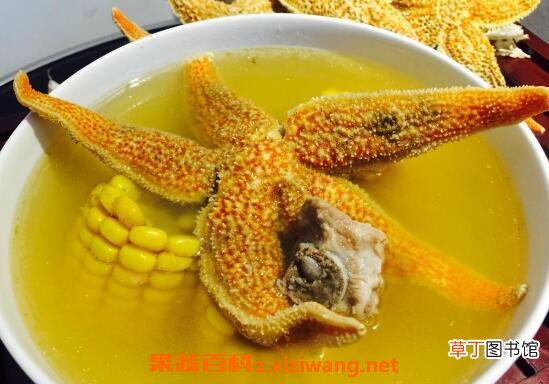 海星煲汤有什么功效 海星煲汤的功效与作用