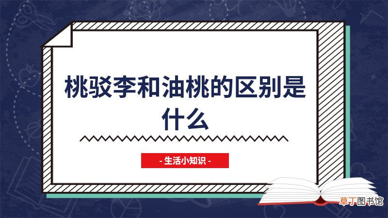 桃驳李和油桃的区别是什么