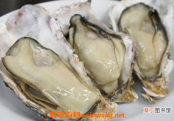 生蚝怎么吃 生蚝的功效与作用