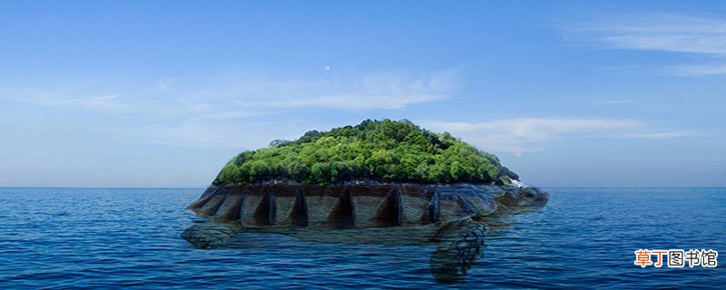 乌龟和海龟的区别