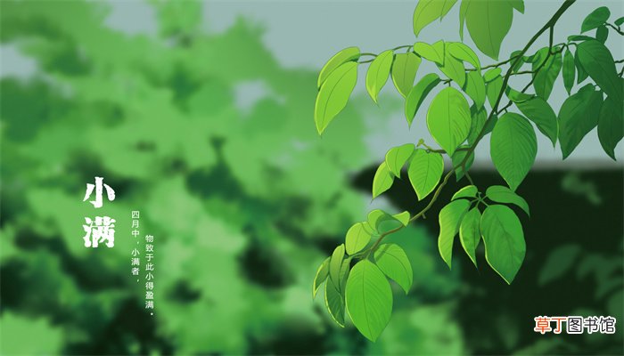 小满见三新指的是什么