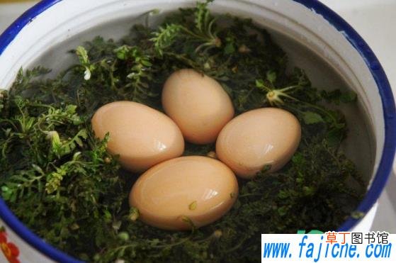 荠菜煮鸡蛋可以放茶叶吗 三月三煮鸡蛋可以放茶叶吗