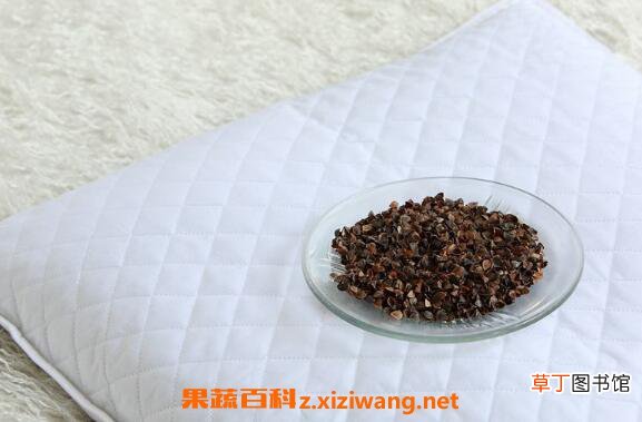 荞麦枕头怎么清洗 荞麦枕头可以水洗吗