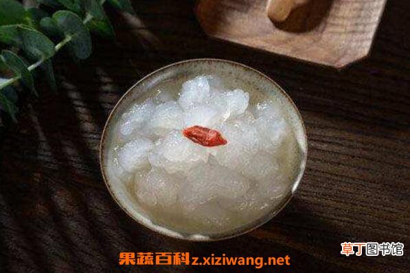 雪蛤素的功效与作用 雪蛤素的药用价值