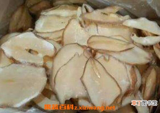 干响螺片的功效与禁忌