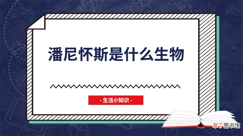 潘尼怀斯是什么生物