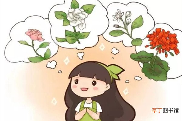 这些香味十足的花，放在家里最合适了