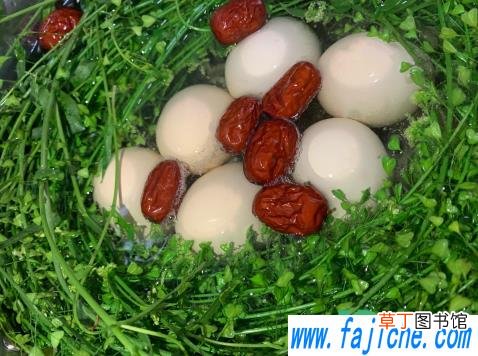 荠菜煮鸡蛋为什么要放红枣 荠菜煮鸡蛋要放红枣吗