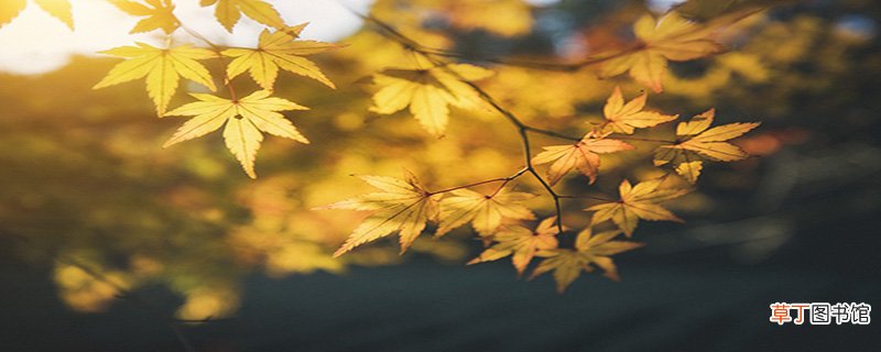 清秋表示几月份