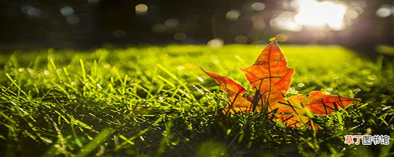 清秋表示几月份