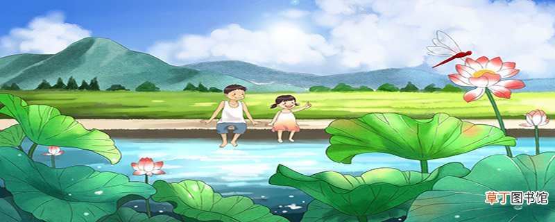 蜻蜓吃什么