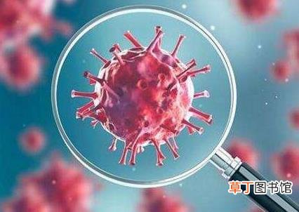 新型冠状病毒早期主要症状-新型冠状病毒早期的反应