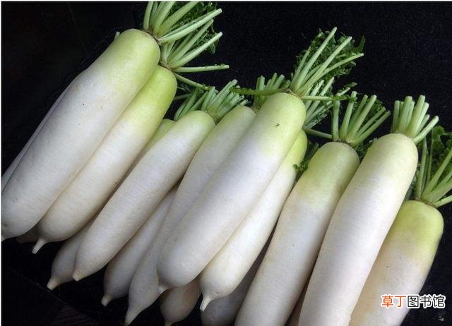 吃药不能吃萝卜吗-吃药吃萝卜会有影响吗