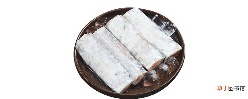 带鱼是不是脊椎动物