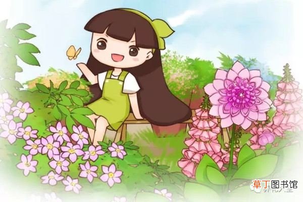我想种这些爬藤花，都想疯了