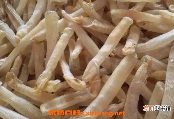 沙虫干的功效与作用