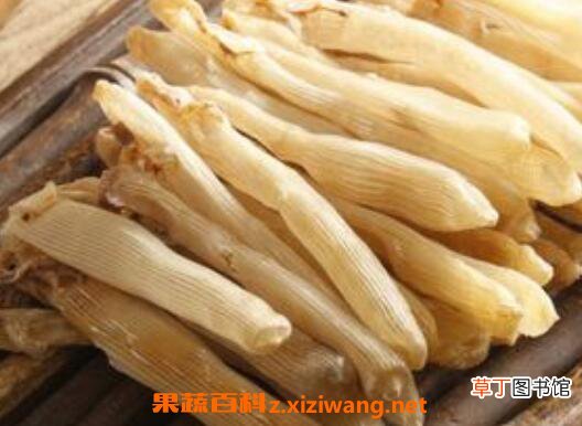 沙虫干的功效与作用