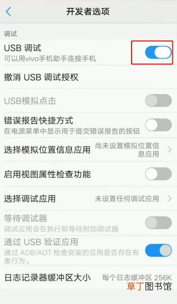 vivo 手机怎么打开开发者选项 打开USB调试设置