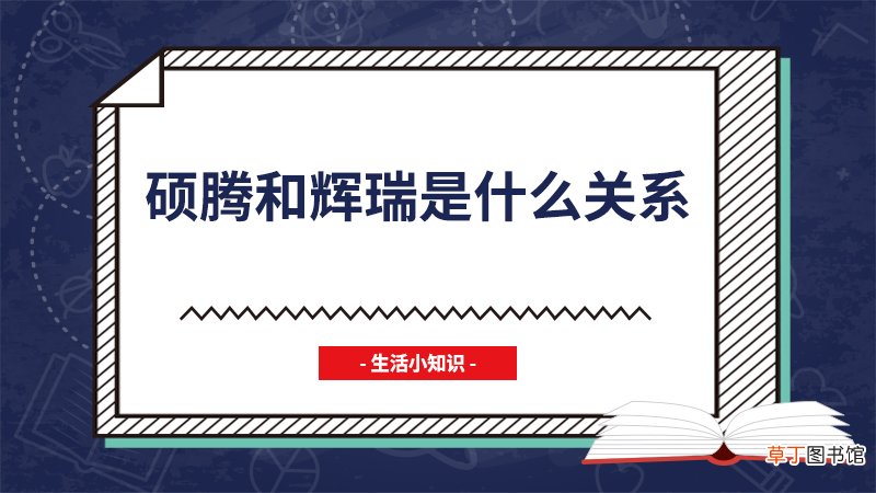 硕腾和辉瑞是什么关系