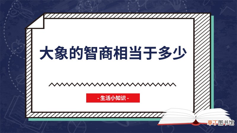大象的智商相当于多少
