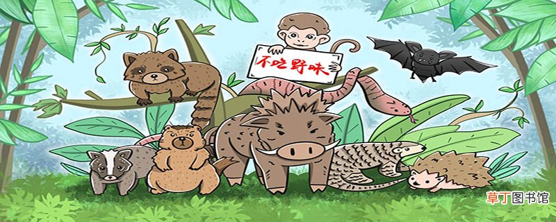 保护野生动物的目的和意义是什么