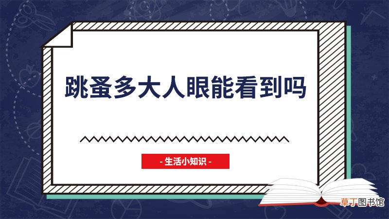 跳蚤多大人眼能看到吗