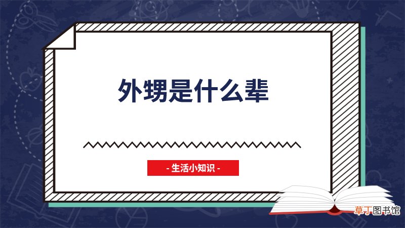 外甥是什么辈