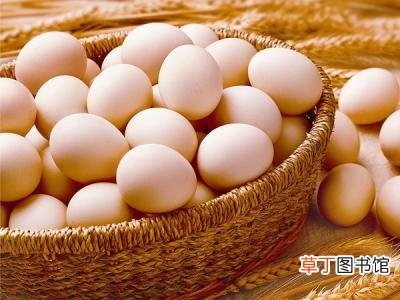 家长必知：帮助高三学生补脑的八类食品