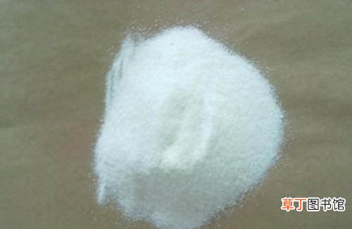 家长必知：帮助高三学生补脑的八类食品