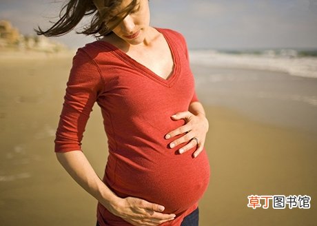 孕妇秋乏吃它一个秋天都不犯困
