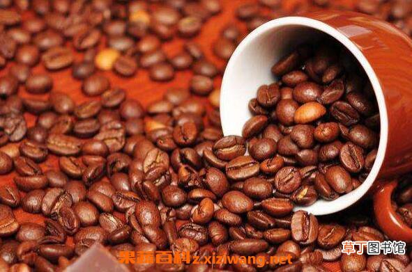 咖啡豆磨成粉后怎么喝 咖啡豆能直接泡吗