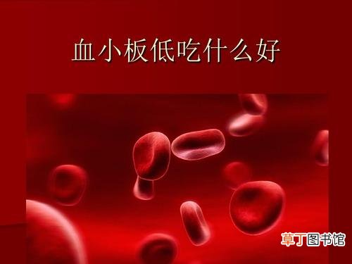血小板低吃什么补得快-吃什么可以补血小板低