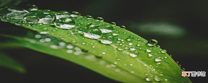 惊蛰是什么意思