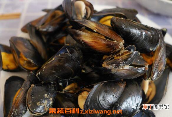 海虹怎么吃 海虹的家常做法