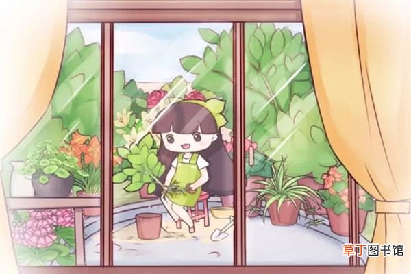 一花一世界，一园一天堂