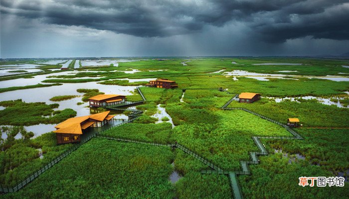 地球三大生态系统是指海洋湿地和什么